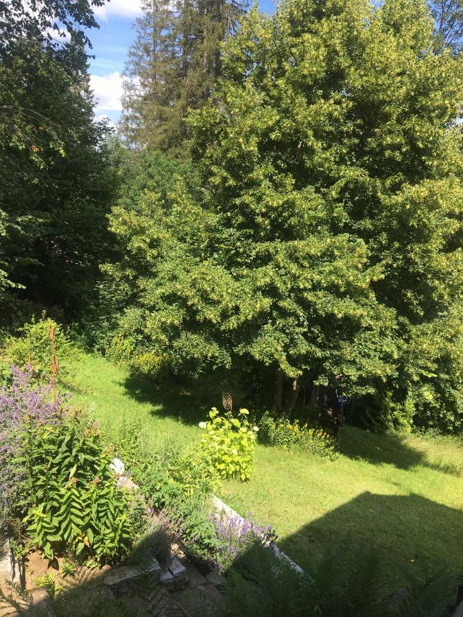 Ferienhaus Rotzinger Hinterzarten Eksteriør bilde